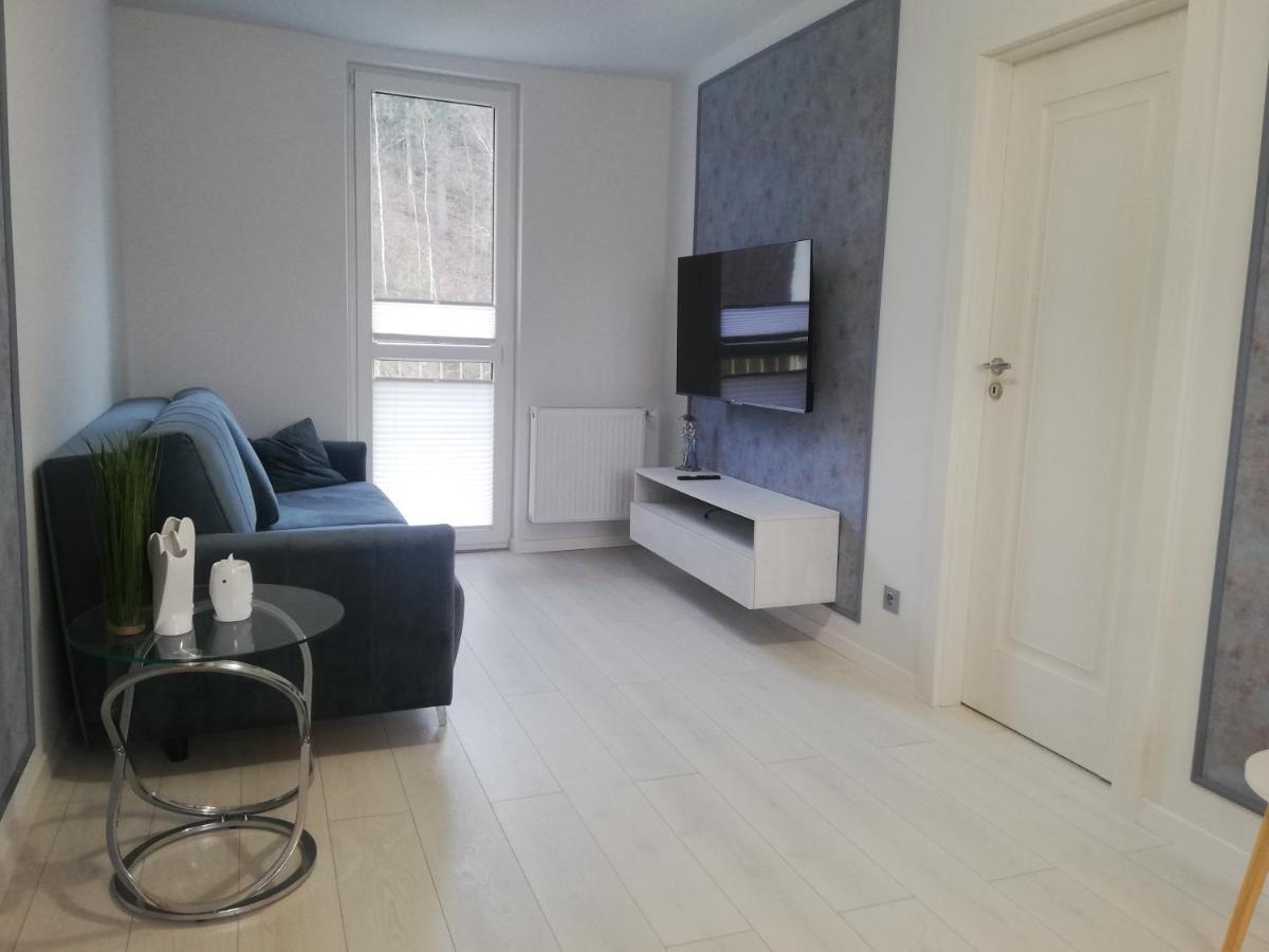 Apartament Stella Duszniki Zdrój Exterior foto