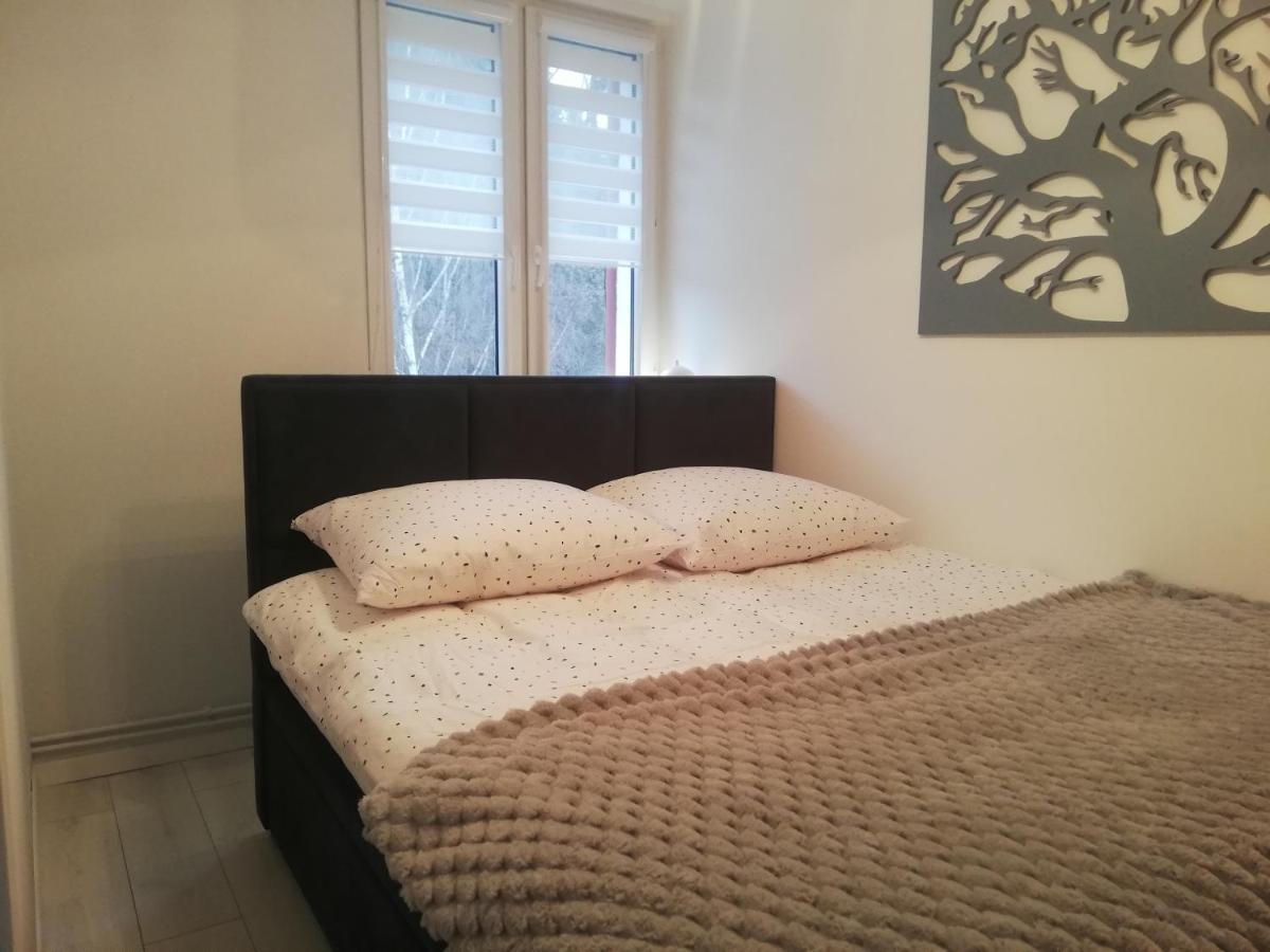 Apartament Stella Duszniki Zdrój Exterior foto